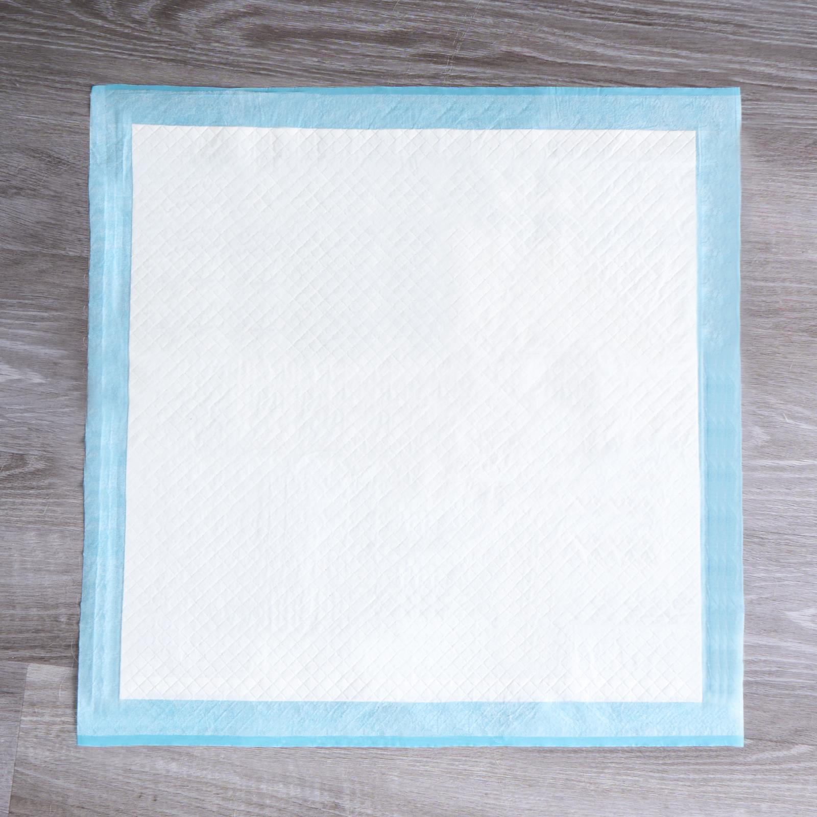 100 Training Pads Absorbent Large Pet Puppy Wee Pee Dog Kitten Poo Floor Mats