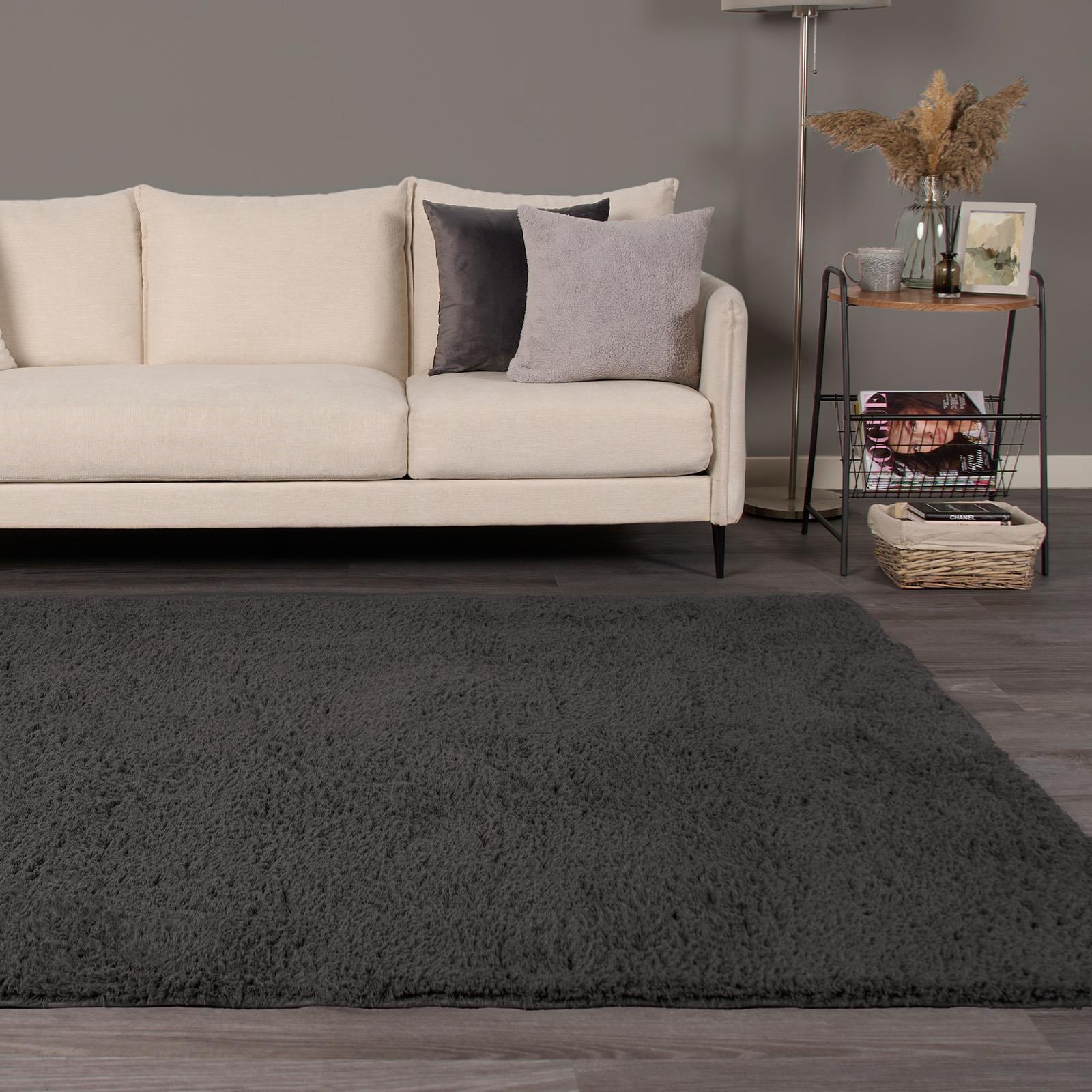 OHS Fluffy Teddy Rug Soft Bedroom Floor Carpet Plush Area Mats For Living Room