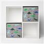 OHS Multi Pack Dinosaur Print Storage Boxes Folding Set Square Easy Space Cube