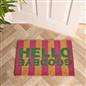 OHS Striped Doormat Hello Goodbye Slogan Non Slip Indoor Outdoor Coir Door Rug