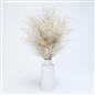 Pampas Grass Faux Fluffy in Vase Artificial Natural Style Plant Decorative Home