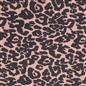 OHS Storage Cube Boxes Animal Print 2/4 Pack Folding Shoe Organiser Tidy Set