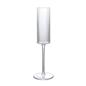 OHS Plastic Glasses Set of 2/4 Reusable Flute Champagne Cocktail Glass Picnic