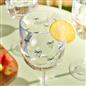 OHS Plastic Glasses Set of 2/4 Reusable Flute Champagne Cocktail Glass Picnic
