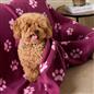 OHS Pet Blanket Dog Warm Fleece Cat Throw Paw Puppy Animal Soft Mat