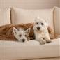 OHS Pet Fleece Throw Fluffy Calming Foldable Travel Dog Puppy Cat Blanket