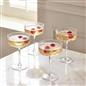 OHS Plastic Glasses Set of 2/4 Reusable Flute Champagne Cocktail Glass Picnic