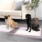 100 Training Pads Absorbent Large Pet Puppy Wee Pee Dog Kitten Poo Floor Mats