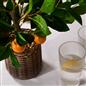 OHS Artificial Tree Plant Foliage in Basket Pot Palm Olive Leaves Tabletop Decor