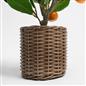 OHS Artificial Tree Plant Foliage in Basket Pot Palm Olive Leaves Tabletop Decor