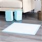 100 Training Pads Absorbent Large Pet Puppy Wee Pee Dog Kitten Poo Floor Mats