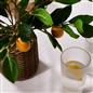OHS Artificial Tree Plant Foliage in Basket Pot Palm Olive Leaves Tabletop Decor