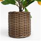 OHS Artificial Tree Plant Foliage in Basket Pot Palm Olive Leaves Tabletop Decor