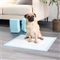 100 Training Pads Absorbent Large Pet Puppy Wee Pee Dog Kitten Poo Floor Mats