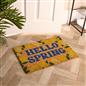 OHS Lemon Print Doormat Hello Spring Slogan Non Slip Indoor Outdoor Coir Rug