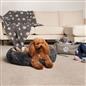 OHS Pet Blanket Dog Warm Fleece Cat Throw Paw Puppy Animal Soft Mat