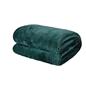 OHS Large Flannel Fleece Bed Blanket Warm Throw Over Ultra Soft Bed Sofa