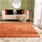 OHS Fluffy Teddy Rug Soft Bedroom Floor Carpet Plush Area Mats For Living Room