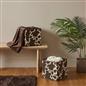 OHS Storage Cube Boxes Animal Print 2/4 Pack Folding Shoe Organiser Tidy Set