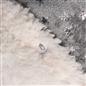 Star Fleece Duvet Cover Bedding Set Metallic Foil Pillowcase Quilt Single Double