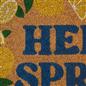 OHS Lemon Print Doormat Hello Spring Slogan Non Slip Indoor Outdoor Coir Rug