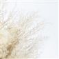 Pampas Grass Faux Fluffy in Vase Artificial Natural Style Plant Decorative Home