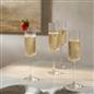 OHS Plastic Glasses Set of 2/4 Reusable Flute Champagne Cocktail Glass Picnic