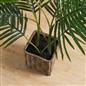 OHS Artificial Tree Plant Foliage in Basket Pot Palm Olive Leaves Tabletop Decor