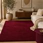 OHS Fluffy Teddy Rug Soft Bedroom Floor Carpet Plush Area Mats For Living Room