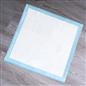 100 Training Pads Absorbent Large Pet Puppy Wee Pee Dog Kitten Poo Floor Mats