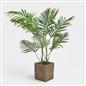 OHS Artificial Tree Plant Foliage in Basket Pot Palm Olive Leaves Tabletop Decor