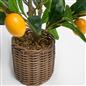 OHS Artificial Tree Plant Foliage in Basket Pot Palm Olive Leaves Tabletop Decor