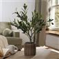 OHS Artificial Tree Plant Foliage in Basket Pot Palm Olive Leaves Tabletop Decor