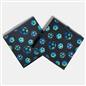 OHS Kids Storage Box Cube Printed Folding 2 Pack Space Saving Shoe Toy Organiser