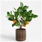 OHS Artificial Tree Plant Foliage in Basket Pot Palm Olive Leaves Tabletop Decor