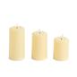 OHS Flameless LED Candles Set of 3 Christmas Wedding Party Decorative Lights