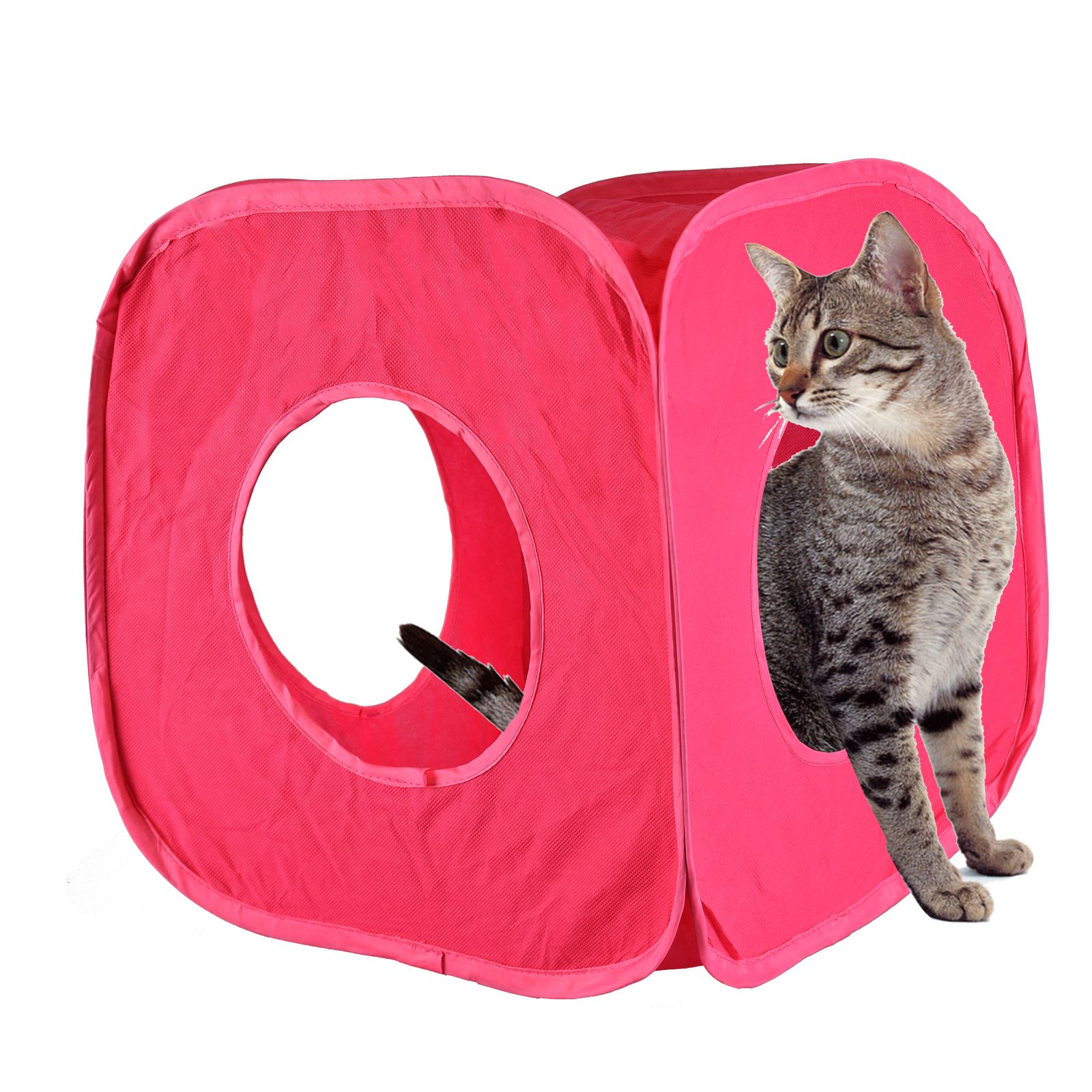 Pop Up Cat Play Cube Tunnel Fun Strong Box Kitten Small Pets Folds Away