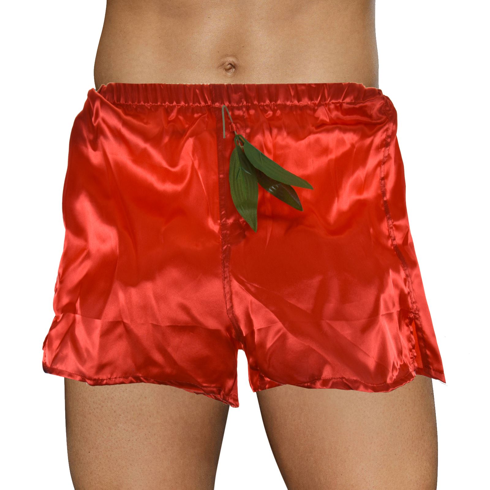 Christmas Novelty Adults Red Satin Boxer Shorts Pants Underwear Xmas