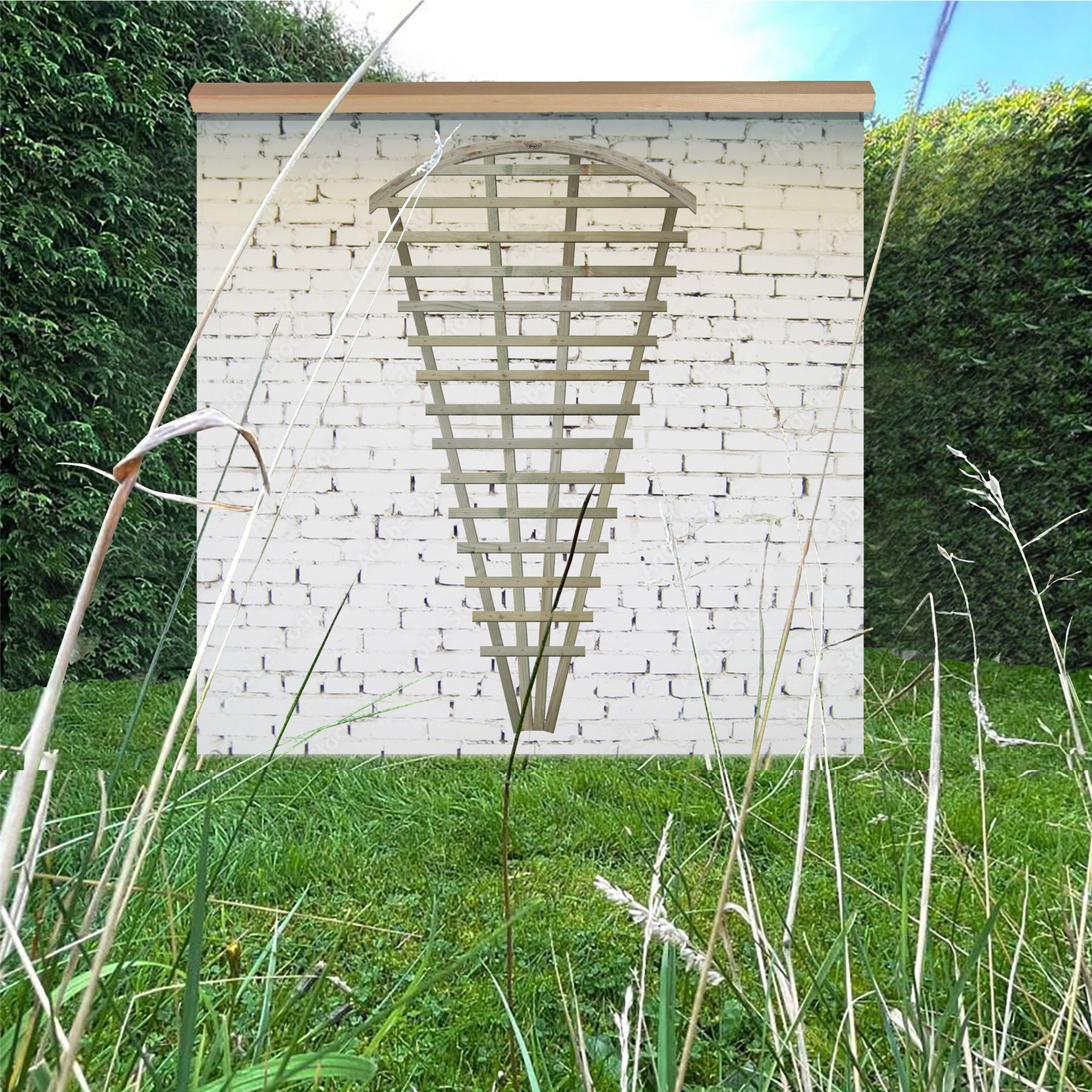 Premier Fan Trellis Flat or Arched 6ftx3ft Lattice Climbing Plant Wooden - Picture 18 of 30