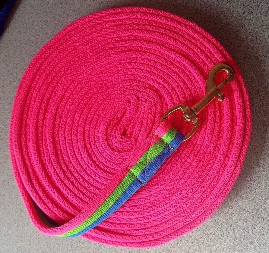 Soft Padded 4 Metres Lunging Rein Pony Horse Training Long Lunge Line