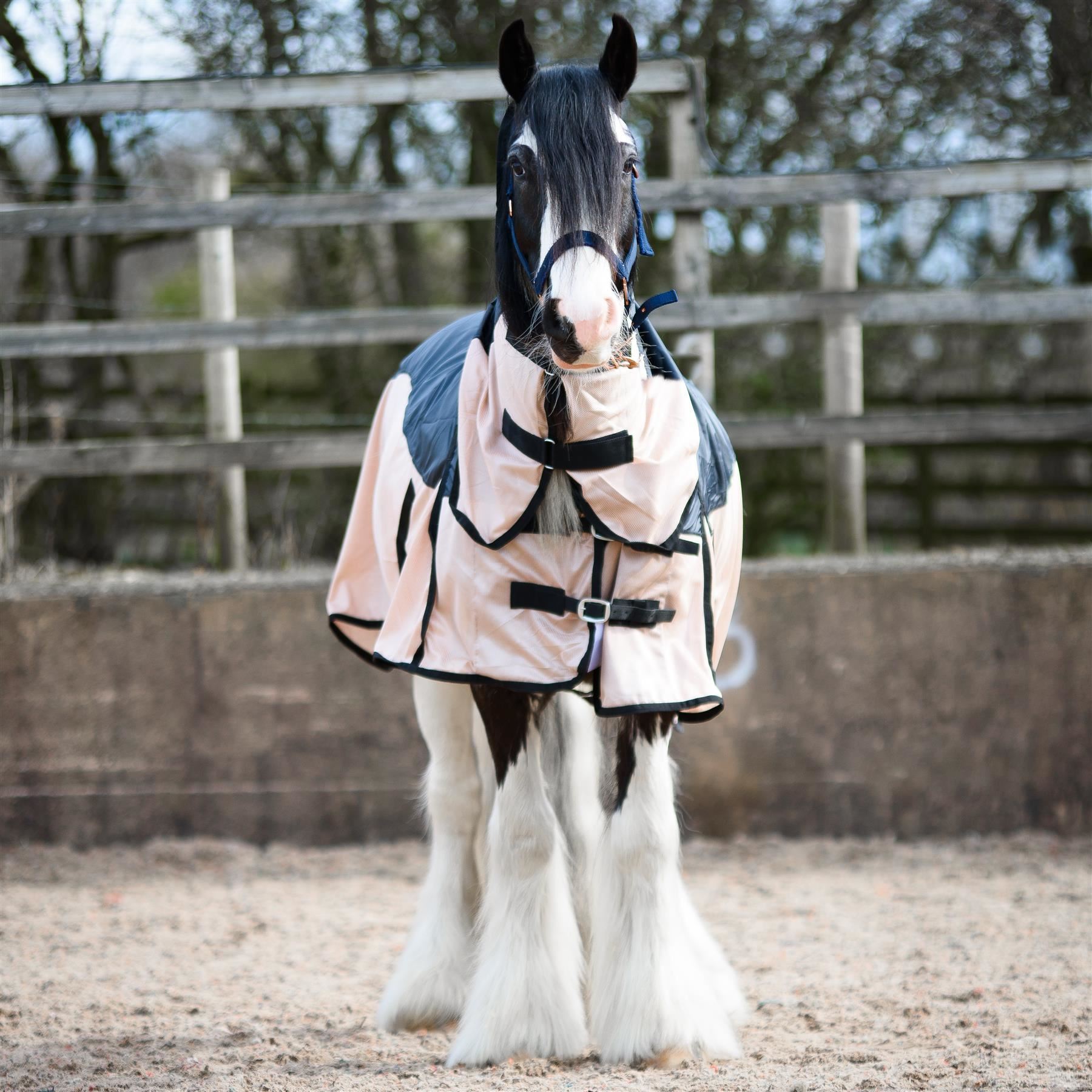 Lightweight Combo Fixed Neck 2 in 1 Fly Rugs for Horses Made 420 Denier