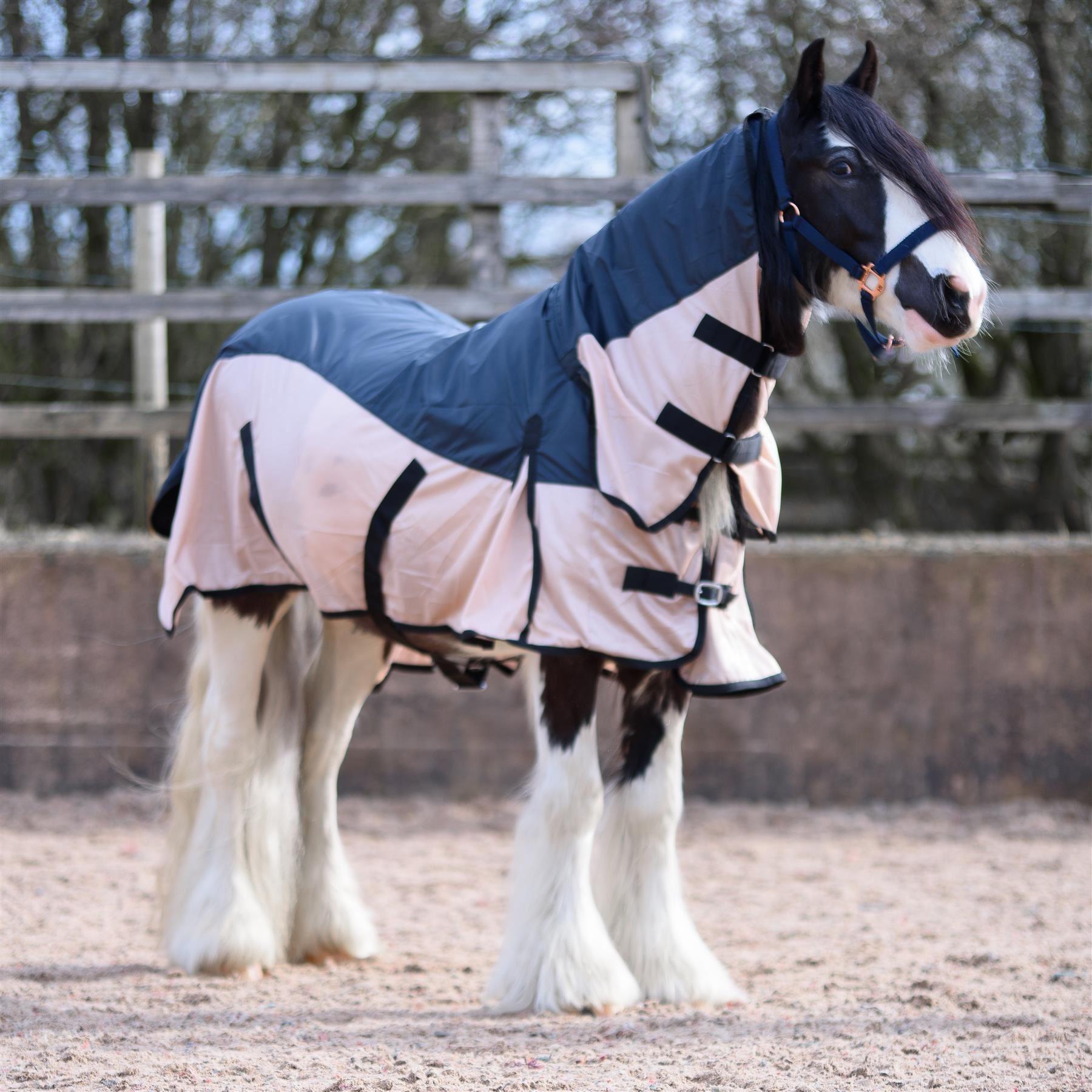 Lightweight Combo Fixed Neck 2 in 1 Fly Rugs for Horses Made 420 Denier