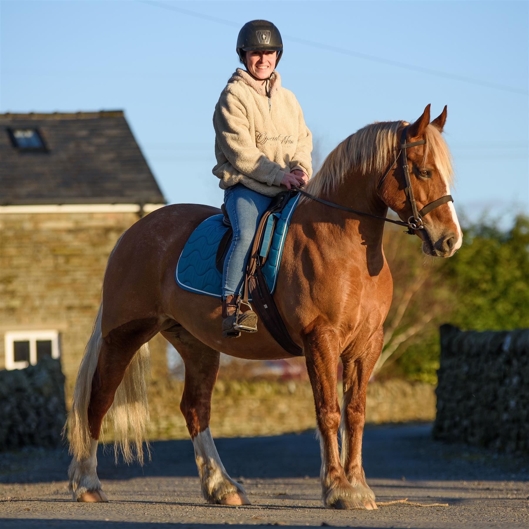 Saddle Numnah General Pads Cloth Wave Design Quilting Multi Colors Full/Cob/Pony - Picture 9 of 21