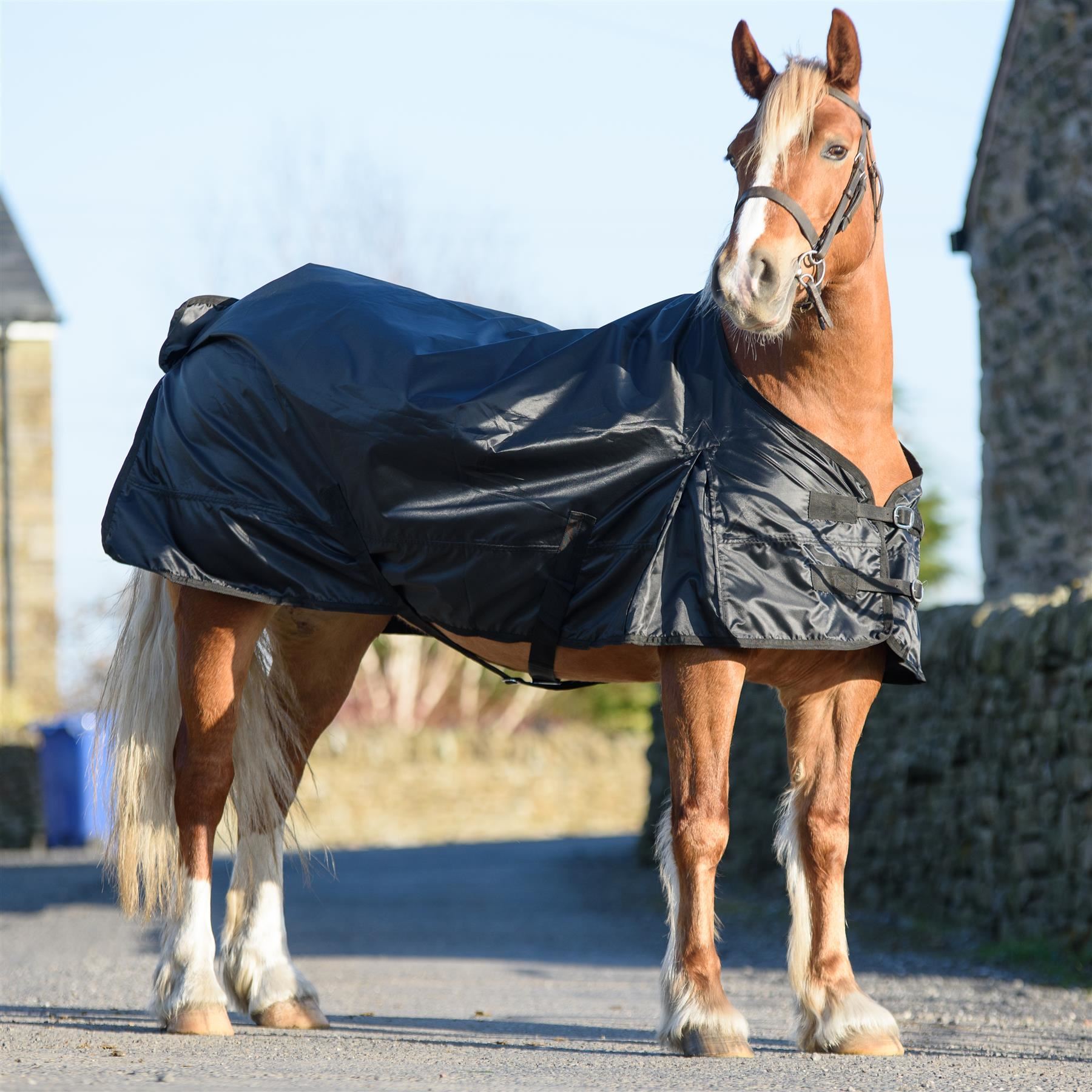 Lightweight Turnout Rug Standard Regular Neck Rugs for Horses 420D Anti