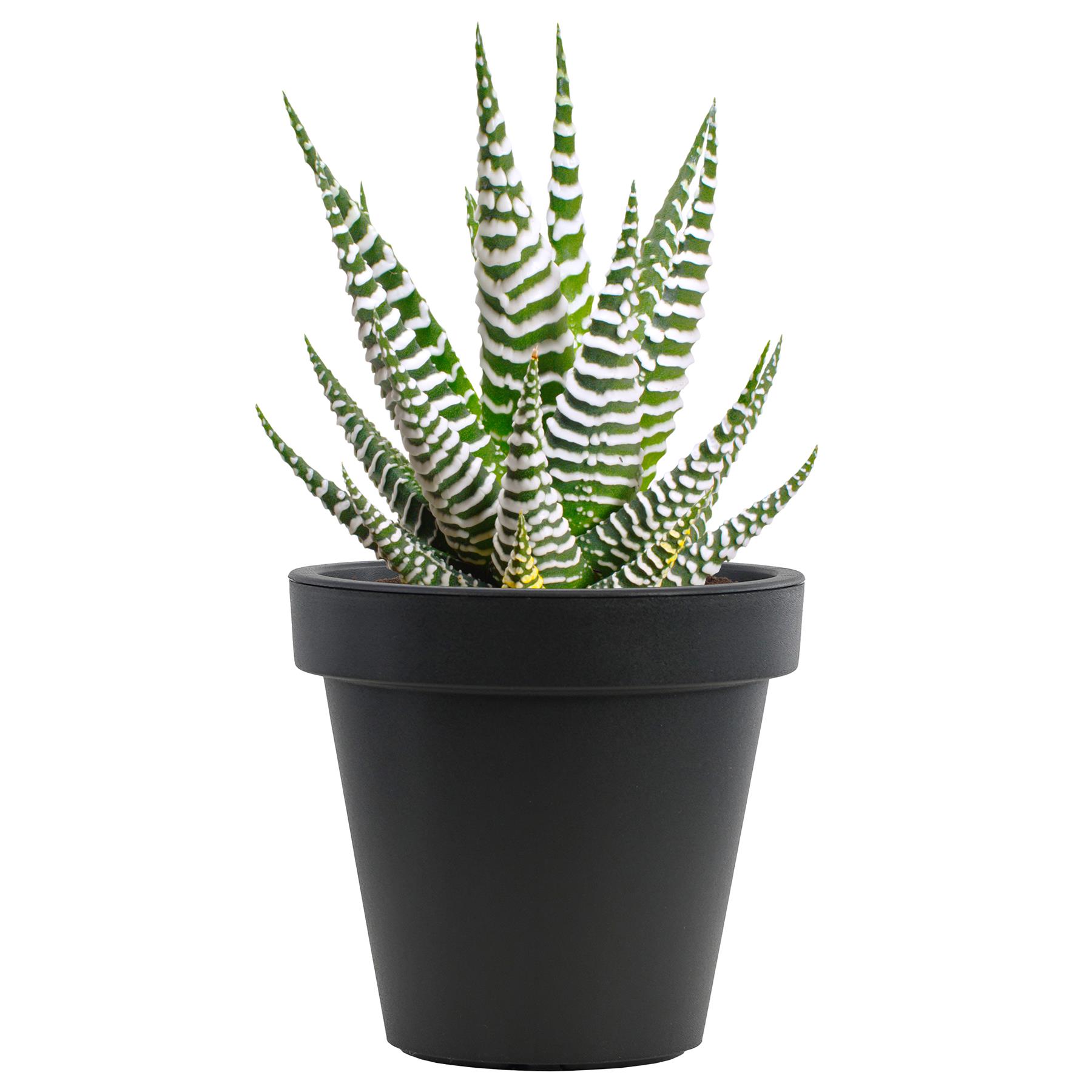 Anthracite Round Flower Pot Planter Garden Plant Pot Indoor Outdoor Container - Produktbild 1
