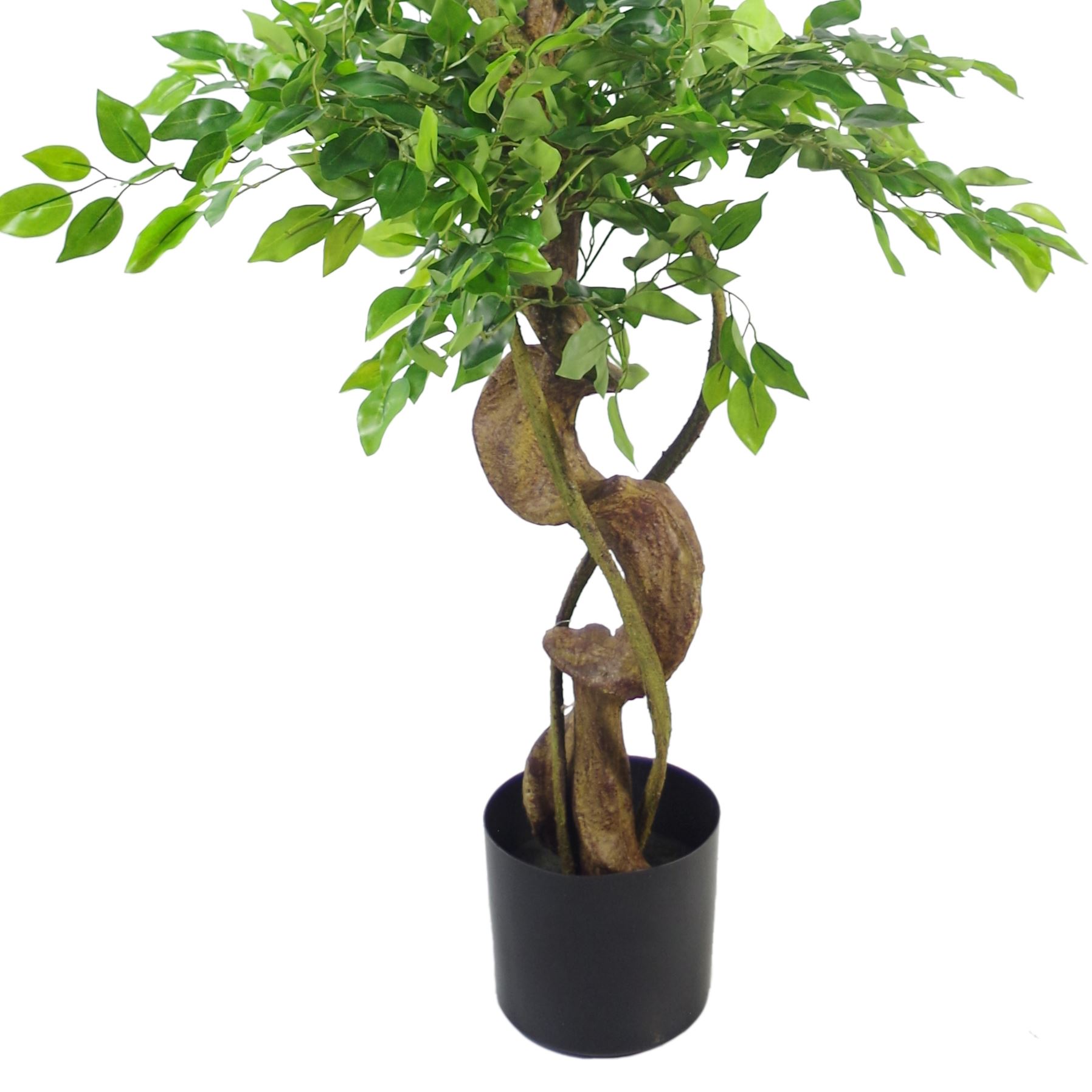 LARGE Ruscus Trees Artificial Ruscus Ficus - Home or Office Decor - Picture 15 of 20