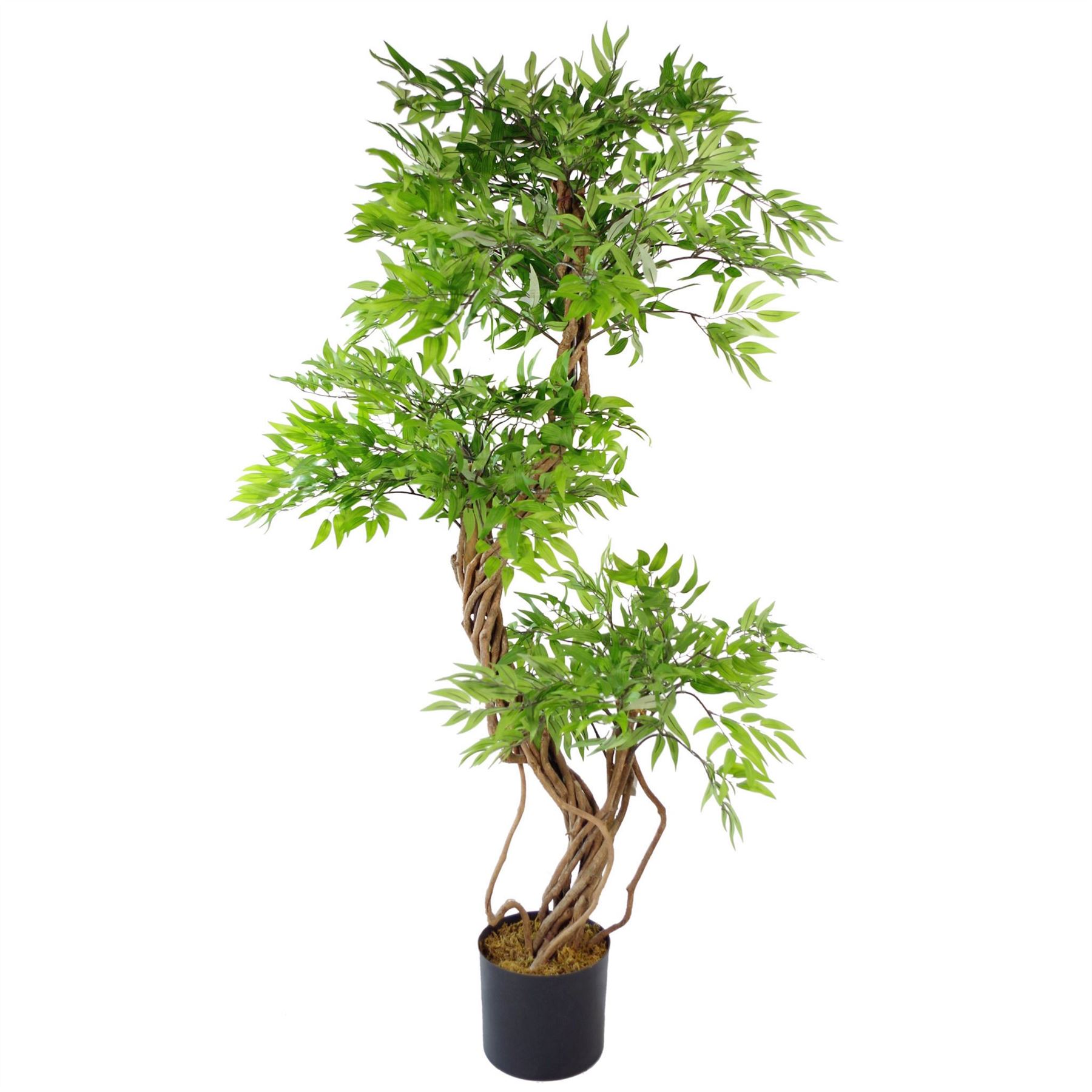 LARGE Ruscus Trees Artificial Ruscus Ficus - Home or Office Decor - Picture 7 of 20