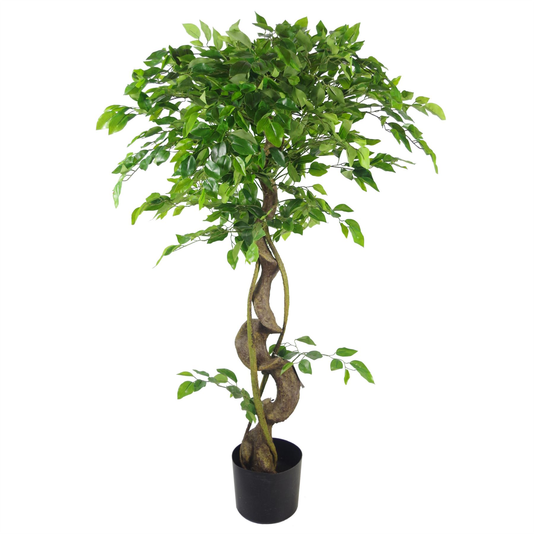 LARGE Ruscus Trees Artificial Ruscus Ficus - Home or Office Decor - Picture 5 of 20