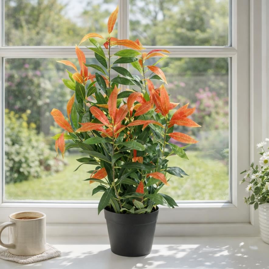 GRAN PALMA Plantas tropicales para exhibición de hogar u oficina - Bambú, Yukka, Mango
