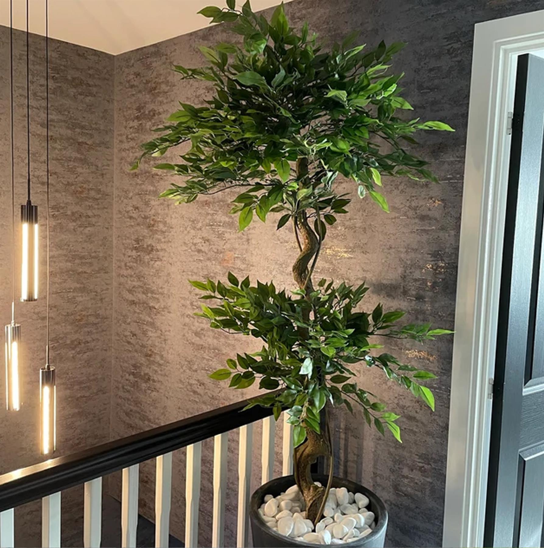LARGE Ruscus Trees Artificial Ruscus Ficus - Home or Office Decor - Picture 13 of 20